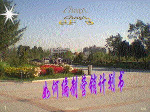 [精選]如何編制營(yíng)銷計(jì)劃書(已改無錯(cuò)字)