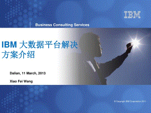 ibm大數(shù)據(jù)平臺解決方案介紹(已修改)