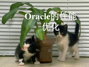 第09章oracle的性能優(yōu)化-免費(fèi)閱讀