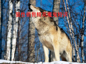 [精選]狼性銷售技巧培訓(xùn)(已改無錯(cuò)字)