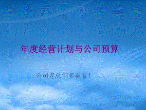 年度經(jīng)營計劃與公司預算講義(已修改)
