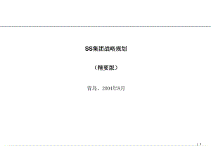 ss集團戰(zhàn)略規(guī)劃-補充-預覽頁