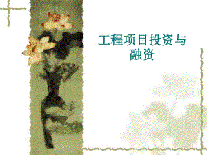 工程項(xiàng)目投資與融資第4章(已修改)