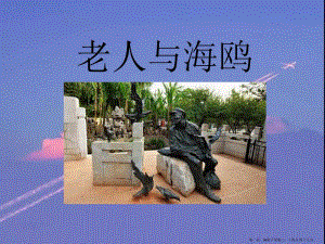 2022語文s版語文五下《老人與海鷗》ppt課件3(更新版)