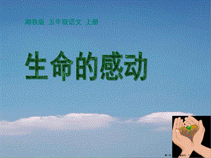 2022春湘教版語文五上《生命的感動》ppt課件2(存儲版)