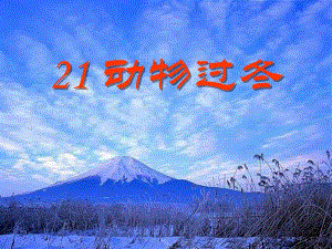 2022語文s版語文二上《動物過冬》ppt課件2(更新版)