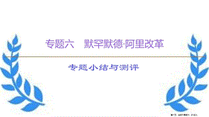 學(xué)年高中歷史專題6默罕默德&amp#8226;阿里改革專題小結(jié)與測評課件人民版選修120221115175(已修改)
