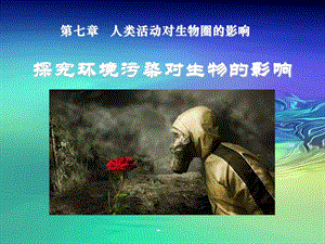 探究環(huán)境污染對(duì)生物的影響成稿-在線瀏覽
