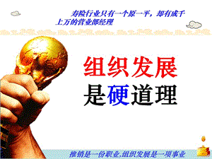 壽險組織發(fā)展是硬道理(ppt-45頁)4(完整版)