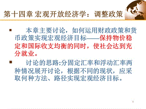 宏觀開放經(jīng)濟學調(diào)整政策(專業(yè)版)