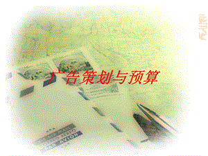 廣告策劃與預(yù)算講義-展示頁