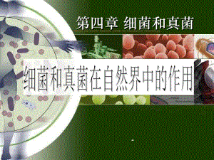 新人教版544細(xì)菌和真菌在自然界中的作用-資料下載頁