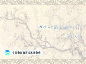 小微金融業(yè)務(wù)評估技術(shù)與風(fēng)險(xiǎn)控制(已修改)