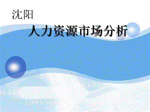 沈陽人力資源市場分析-預覽頁