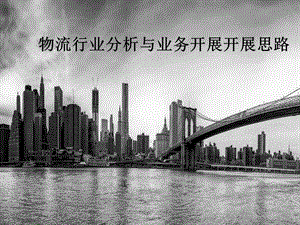 物流行業(yè)分析與業(yè)務(wù)開展開展思路概論-文庫吧資料