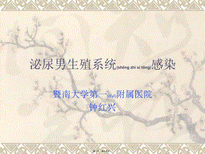 2022年醫(yī)學專題—泌尿男生殖系統(tǒng)感染-紅軟基地-資料下載頁