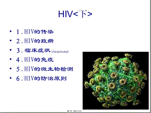 2022年醫(yī)學(xué)專題—hiv的傳染和致病(文件)