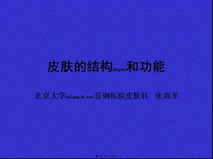 2022年醫(yī)學(xué)專題—皮膚的結(jié)構(gòu)和功能(文件)