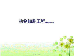2022年醫(yī)學(xué)專題—動物體細(xì)胞核移植技術(shù)和克隆動物(2016年)(文件)