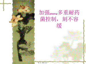 2022年醫(yī)學(xué)專題—多重耐藥菌的防控講訴(文件)