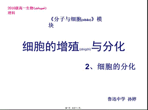 2022年醫(yī)學(xué)專題—必修一-4-2-細(xì)胞分化、癌變、衰老和凋亡資料-wenkub.com