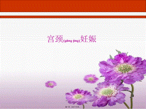 2022年醫(yī)學(xué)專題—宮頸妊娠-wenkub.com