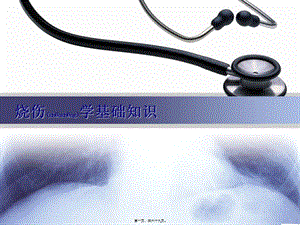 2022年醫(yī)學(xué)專題—燒傷學(xué)基礎(chǔ)知識(存儲版)