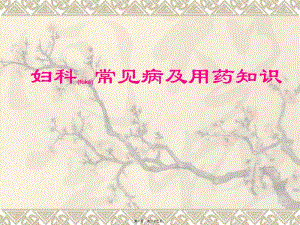2022年醫(yī)學(xué)專題—婦科常見病及用藥知識-wenkub.com