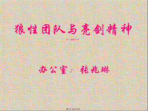 2022年醫(yī)學(xué)專題—狼性團(tuán)隊(duì)與亮劍精神-文庫吧資料