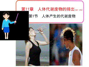 2022年醫(yī)學(xué)專題—人體代謝廢物ppt(文件)