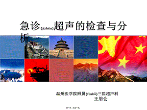 2022年醫(yī)學(xué)專題—急診超聲的檢查與分析-預(yù)覽頁