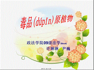 2022年醫(yī)學(xué)專題—毒品原植物-預(yù)覽頁(yè)