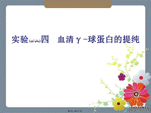 血清γ-球蛋白的提純(參考版)