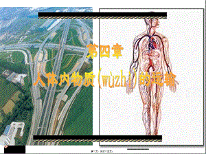 2022年醫(yī)學專題—流動的組織——血液-展示頁