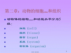 2022年醫(yī)學(xué)專題—動物的細(xì)胞和組織(已修改)