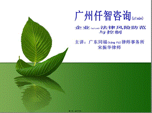 企業(yè)法律風(fēng)險(xiǎn)防范培訓(xùn)提綱-展示頁(yè)
