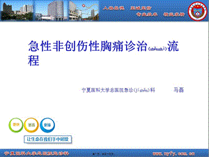 2022年醫(yī)學(xué)專題—急性非創(chuàng)傷性胸痛診治流程-文庫吧在線文庫
