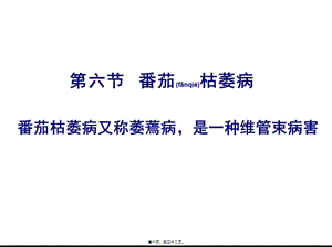 2022年醫(yī)學(xué)專(zhuān)題—番茄枯萎病防治講訴(專(zhuān)業(yè)版)