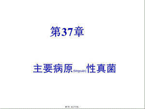 2022年醫(yī)學專題—第37章主要病原性真菌-文庫吧在線文庫