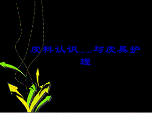 2022年醫(yī)學(xué)專題—皮料的認(rèn)識及保養(yǎng)--2015(專業(yè)版)