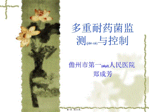2022年醫(yī)學(xué)專題—多重耐藥菌監(jiān)測(cè)與-免費(fèi)閱讀