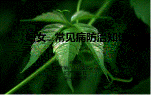 2022年醫(yī)學(xué)專題—婦女常見病防治知識講訴-資料下載頁