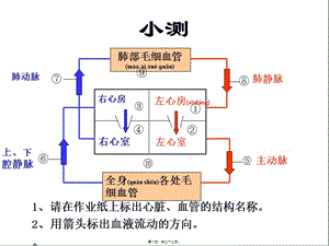 血壓和脈搏(更新版)