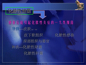 2022年醫(yī)學(xué)專題—常見病原菌：化膿性細(xì)菌-ppt文檔(文件)