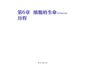 2022年醫(yī)學(xué)專題—第1節(jié)-細(xì)胞的增殖-預(yù)覽頁