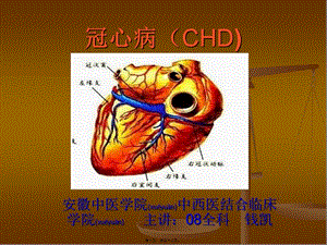 2022年醫(yī)學(xué)專題—冠心病(chd)-文庫(kù)吧