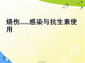2022年醫(yī)學專題—燒傷感染與抗生素使用-在線瀏覽