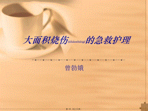 2022年醫(yī)學(xué)專題—大面積燒傷的急救(參考版)