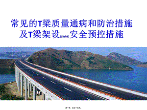 2022年醫(yī)學專題—常見的t梁質(zhì)量通病和防治及安全預(yù)控-文庫吧
