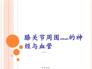膝關(guān)節(jié)周圍的血管與神經(jīng)(參考版)